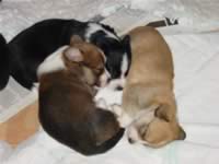 DSC01400.JPG (131kb)